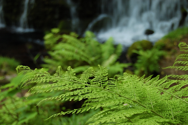c0134295_1015527.jpg