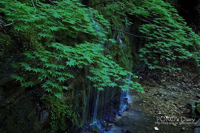 c0134295_9341054.jpg