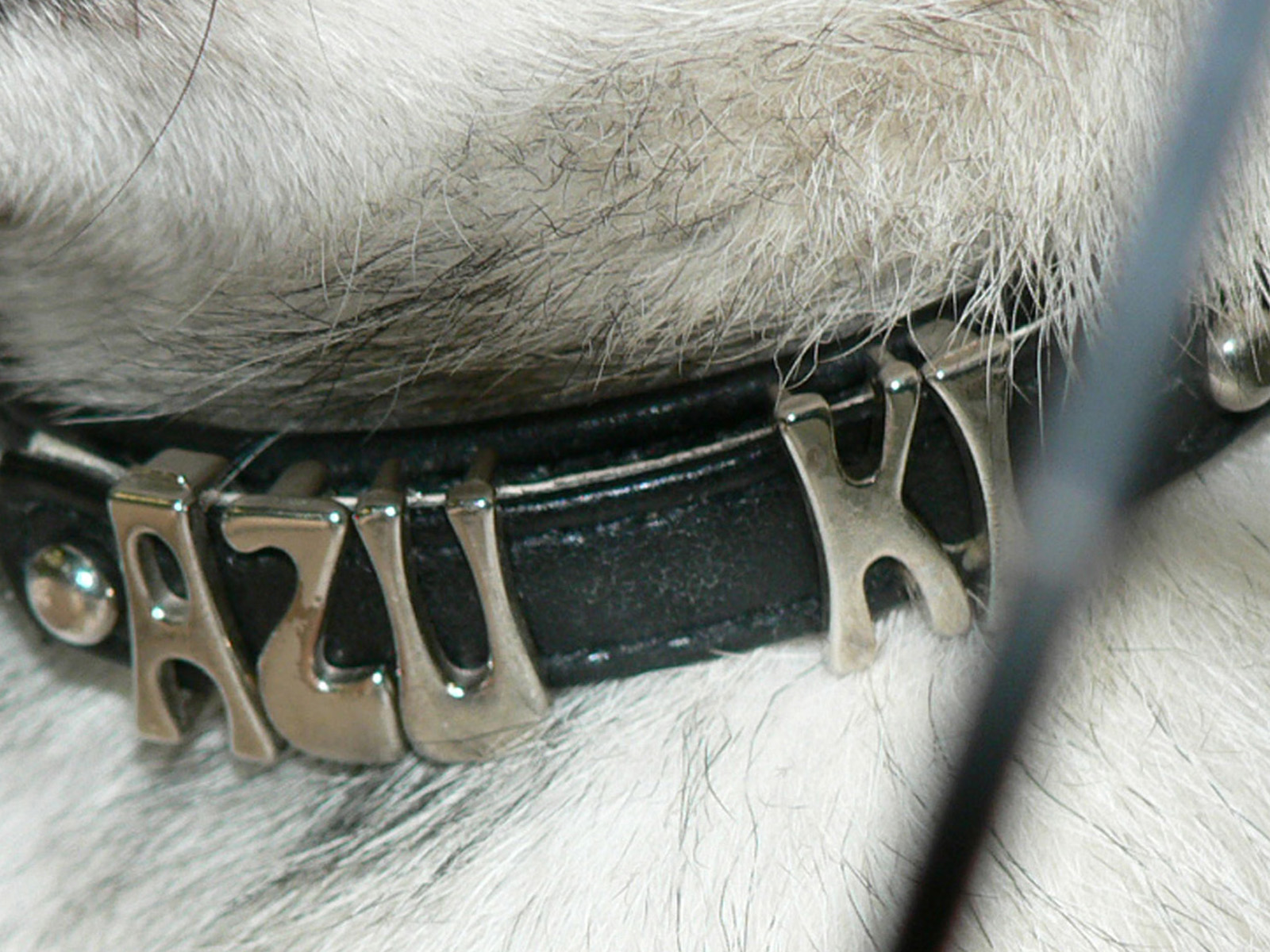 c0128896_0292585.jpg