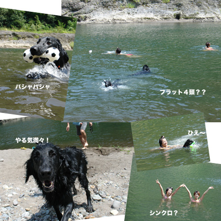 c0040702_23183637.jpg