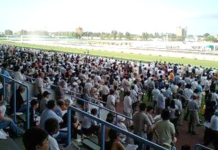 f0032403_22284551.jpg