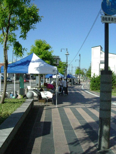 f0113109_81271.jpg