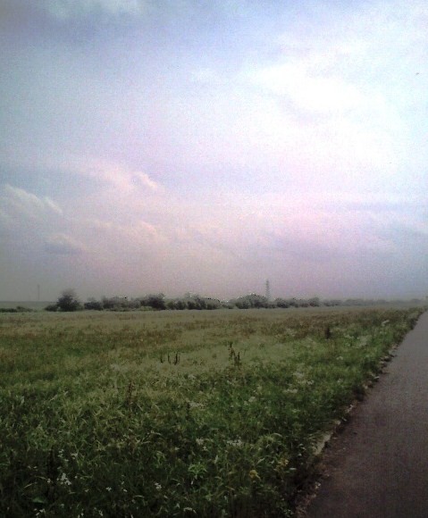 c0129317_20162.jpg