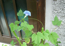f0086618_853036.jpg