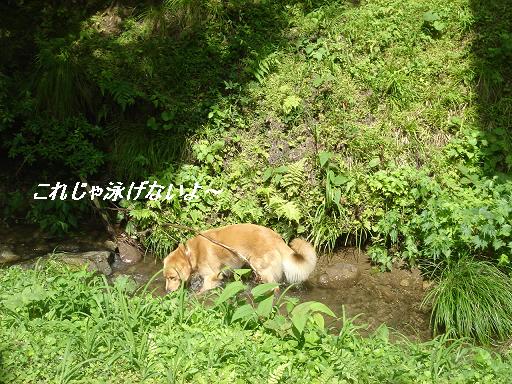 石川県　県民の森_f0114128_20163832.jpg