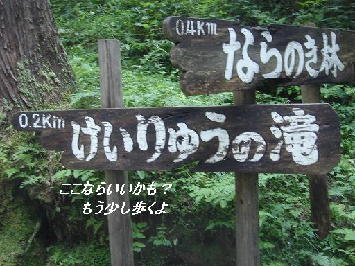 石川県　県民の森_f0114128_20214685.jpg