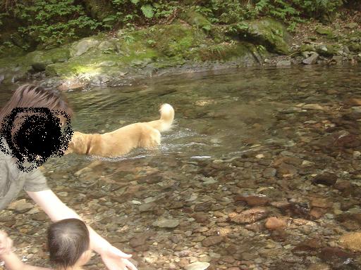 石川県　県民の森_f0114128_20255777.jpg