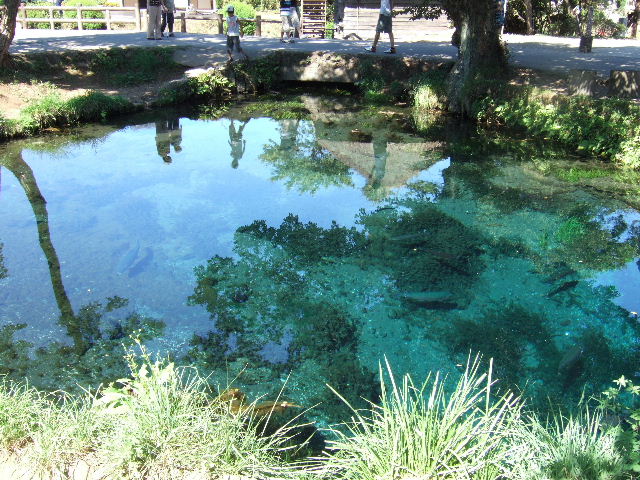 e0064133_00312.jpg