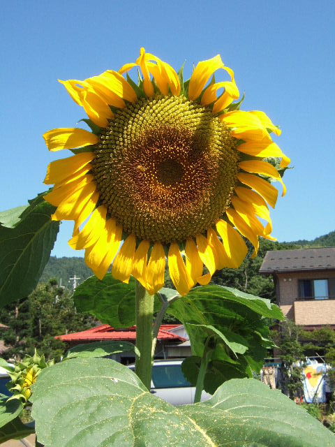e0064133_02675.jpg