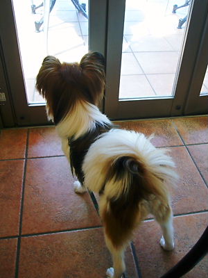 e0100046_20233884.jpg