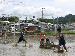 夏休みもそろそろ・・・・。_e0126652_17384373.jpg