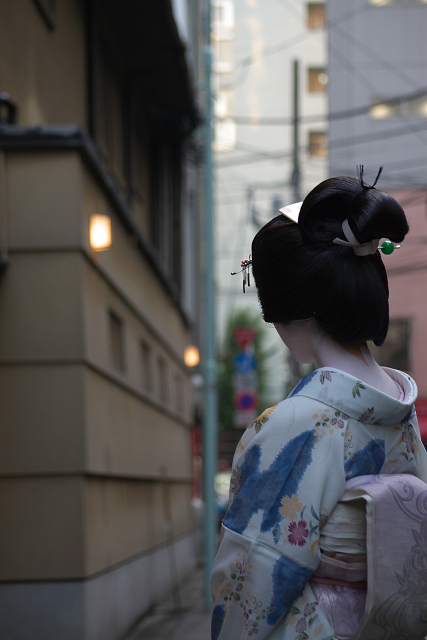 日本橋人形町　　葭町 （よしちょう） 芸者の花咲く灯ともしごろ_c0080357_739863.jpg