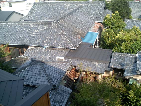f0054859_9533872.jpg