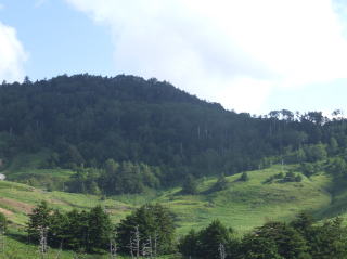 e0088260_08819.jpg
