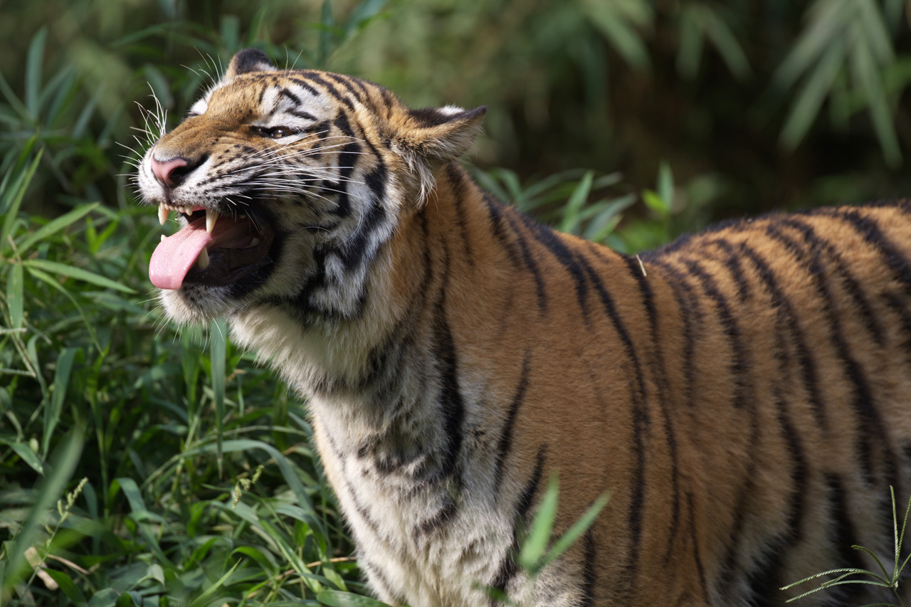 多摩動物公園112_e0060169_6363897.jpg