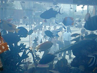 c0006870_9441128.jpg