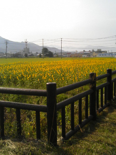 c0133696_1522439.jpg