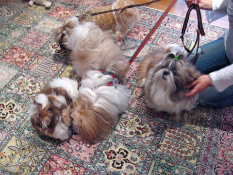 c0090198_774890.jpg