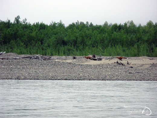 f0085599_20465126.jpg