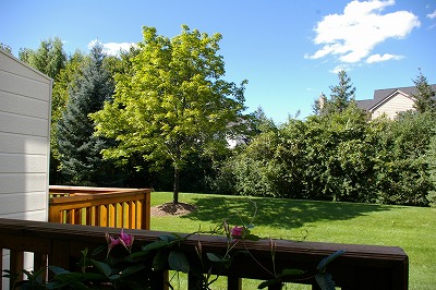 e0109202_121275.jpg