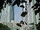 e0028505_21322260.jpg