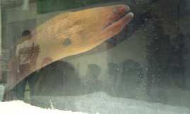d0047107_143123.jpg