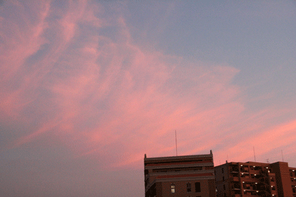 夕陽〜〜_c0083210_17102647.gif