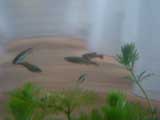 c0047812_14541354.jpg