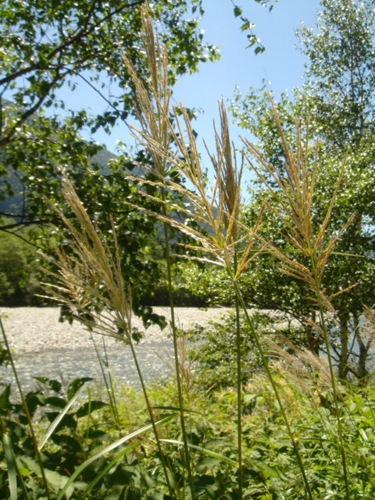 d0113613_14362991.jpg