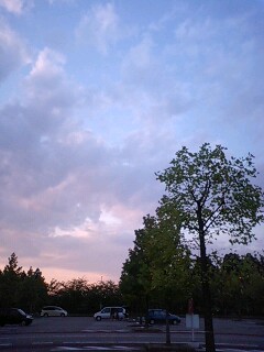 d0098619_1958012.jpg