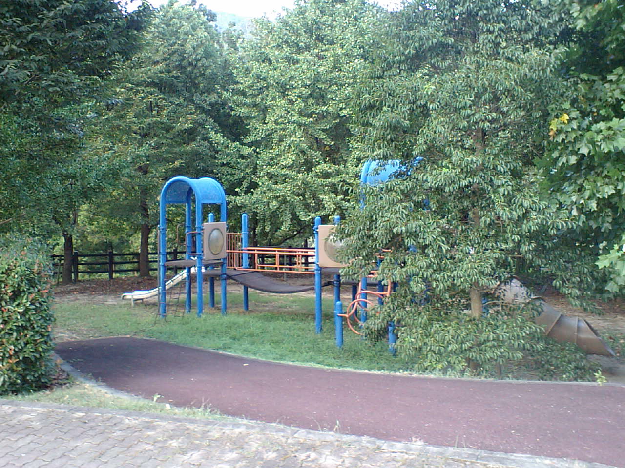 c0117028_774626.jpg