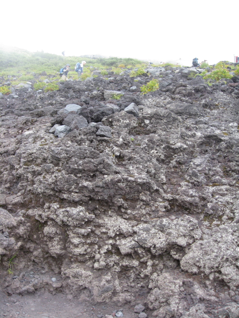 c0124029_2052574.jpg