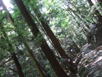 f0142733_15395513.jpg
