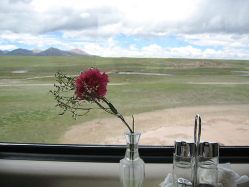 e0110940_071618.jpg