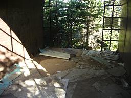 f0065941_23122.jpg
