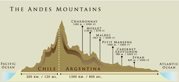 アンデス山脈のワイン The Andes Mountains_d0047851_9231771.jpg