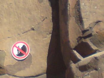 f0057757_620042.jpg