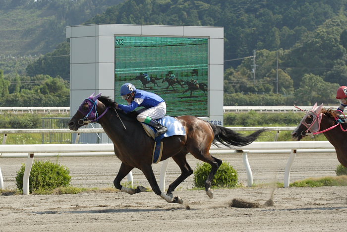 石本純也騎手、誕生日レースを勝った~_a0077663_19272711.jpg