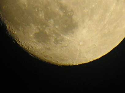 e0019563_20502446.jpg