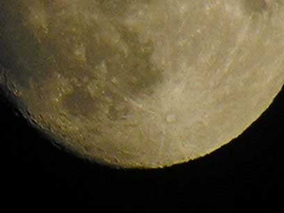 e0019563_2053597.jpg
