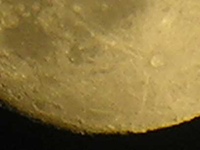 e0019563_2132134.jpg