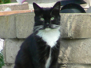 c0121264_632251.jpg