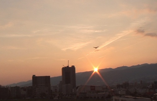 d0083265_200327.jpg