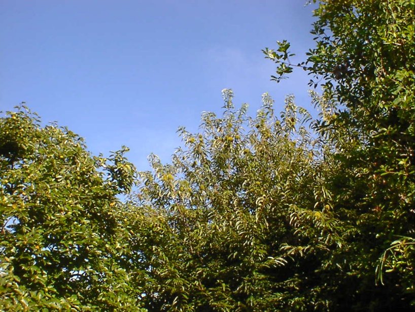 d0040076_1833876.jpg