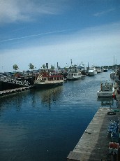 a0027277_4475549.jpg