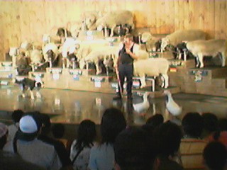 c0064381_2343911.jpg