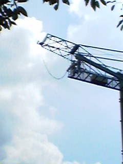 c0064381_235915.jpg