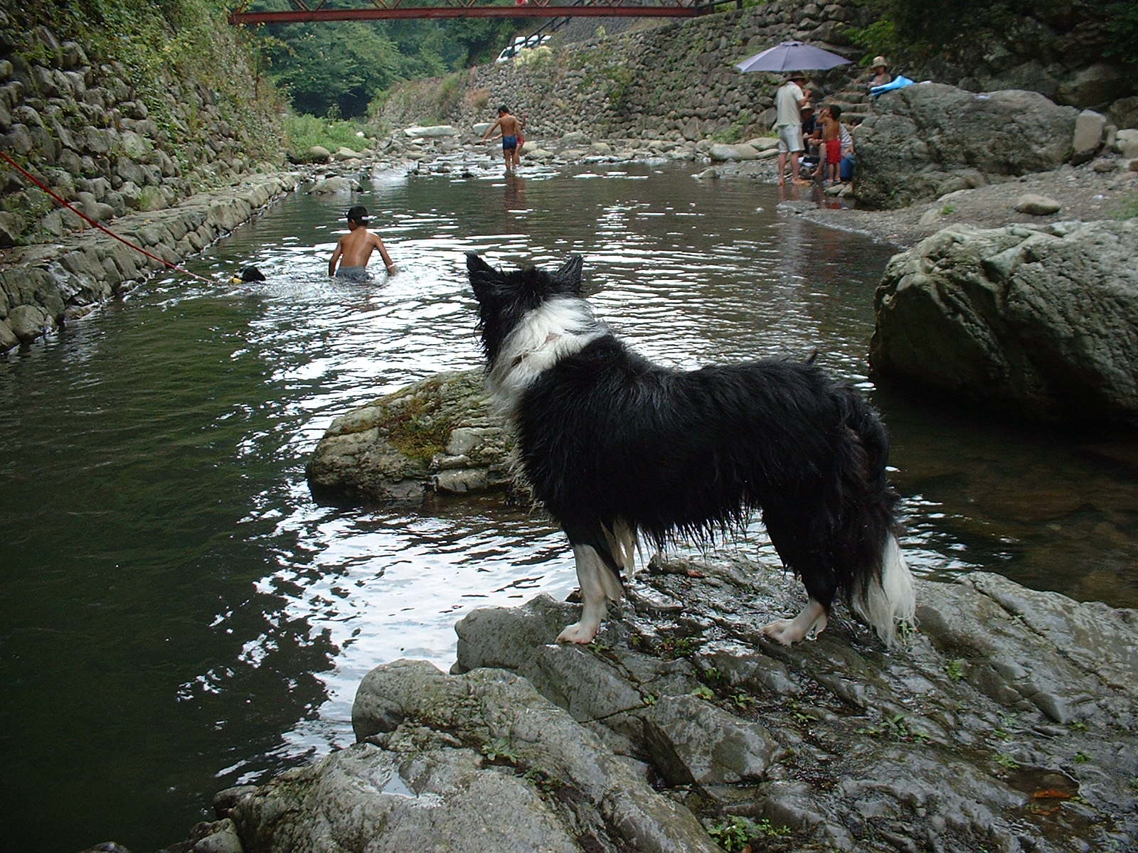 c0120585_14403689.jpg