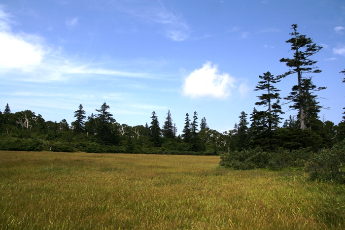 d0082288_82393.jpg