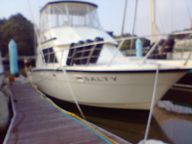 b0084893_8491632.jpg